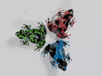 Dart Frog Low-poly 3D model