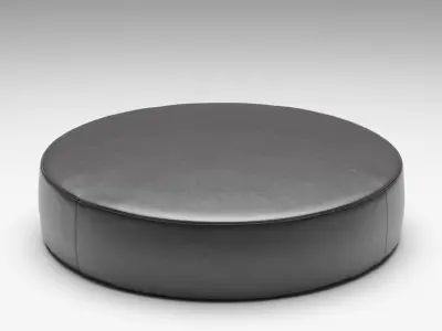 Camerich Puck Ottoman 3D model