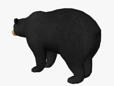 Bear Model Low-poly 3D model