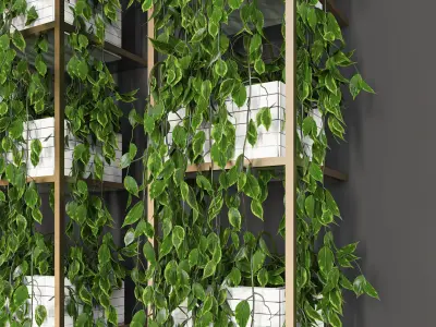 decorative plant 52 Low-poly 3D model