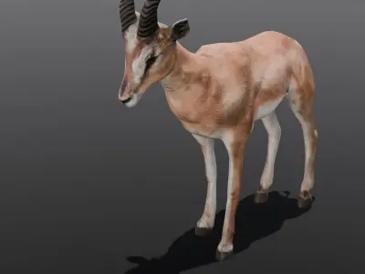 Goat Animated 3D Model  Low-poly 3D model