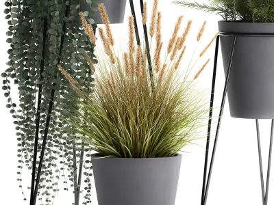 Plants in a flowerpot for the interior 946 3D model