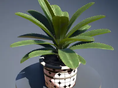 plant in pot Low-poly 3D model