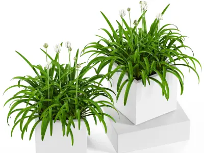 Plants collection 15 3D model purchase