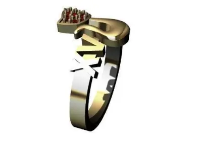 ANILLO XV DE GATO 3D print model