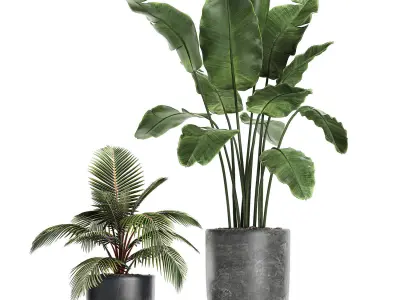 Collection of decorative plants in flowerpots 756 3D model