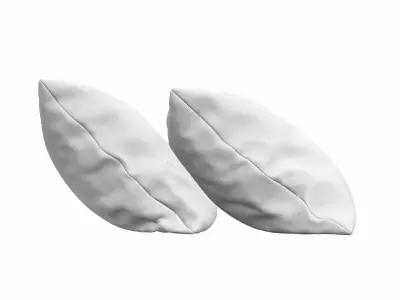 Solid Pillows - set of 2 3D model