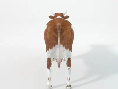 Brown cow Low-poly 3D model