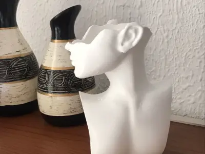 Female Figure Vase 3D print model