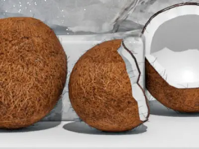 Decorative set 25 3D model