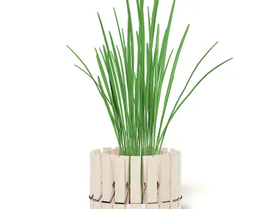 Plant 3D Model with Clothes Peg Pot 3D model