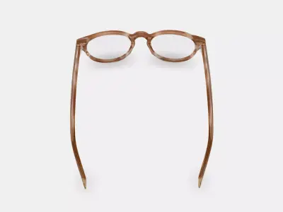 Percey Eyeglasses in Chestnut Crystal 3D model