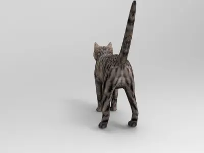 3D Pet Cat Model  Low-poly 3D model