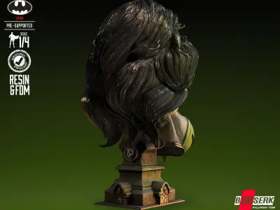 B3DSERK Wonder Woman Zombie Bust Tested for 3D printing 3D print model