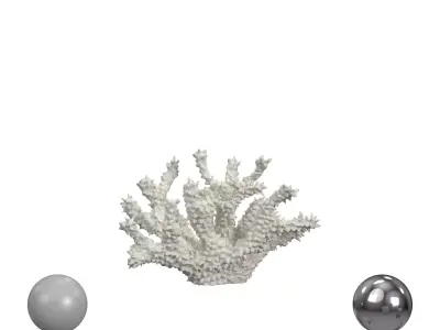 White Spike Coral 3D model