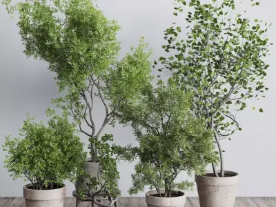 Tree and Bush in an old earthenware vase indoor collection 339 Low-poly 3D model