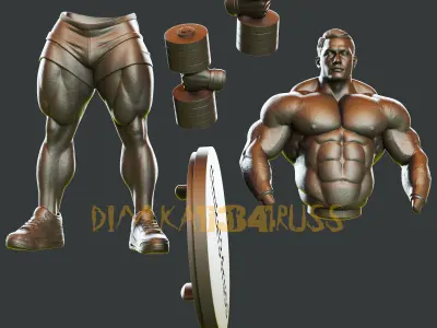 bodybuilding 3D print model