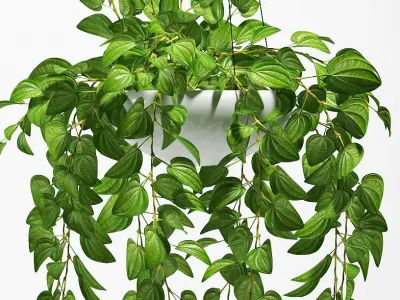 Hanging plants 131 3D model