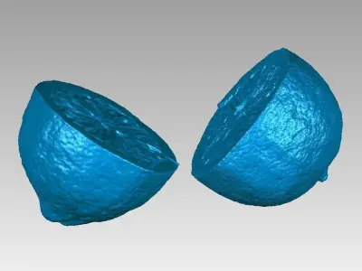 Real Lemon Fruit Cut in Two Pieces High Detail 3D Scan 3D print model