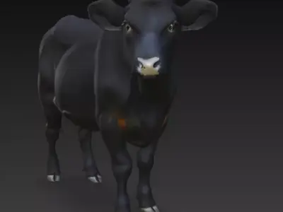 Angus Cow 3d Model Low-poly 3D model