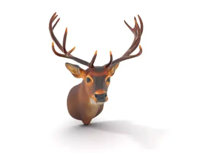 Majestic Deer Bust model pack Low-poly 3D model