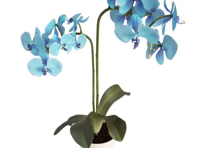 Orchids Flowers 3D model