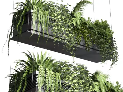 collection Indoor plants hanging pot 10 metal bax vase 3D model