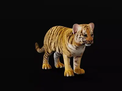 Tiger Cub Mammal Low-poly 3D model