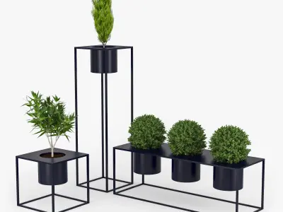 Box plant 3D model