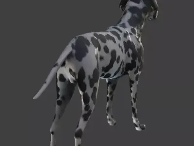 3D Dalmatian Model with Animations Low-poly 3D model
