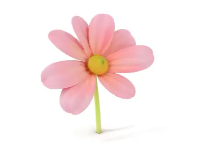 Pink Blossom Flower model pack Low-poly 3D model