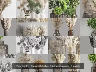 Plant and Dry  Bouquet Collection  Dried autumn plants