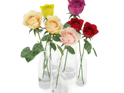 Roses in Glass Vases 3D model