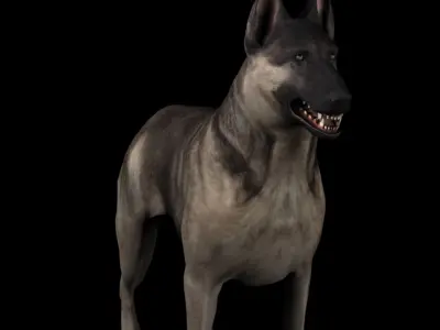 Shepherd dog 3d model 3D model