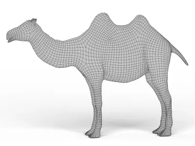 Camel Base Mesh Low-poly 3D model purchase
