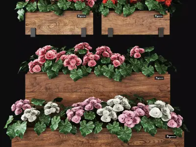 Begonia planter 3D model