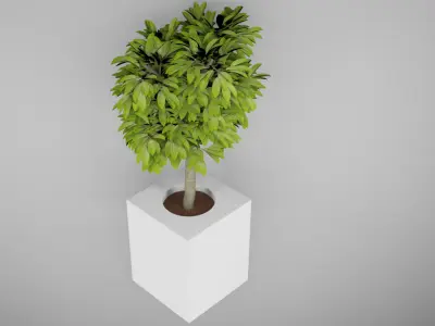 indoor tree Free 3D model