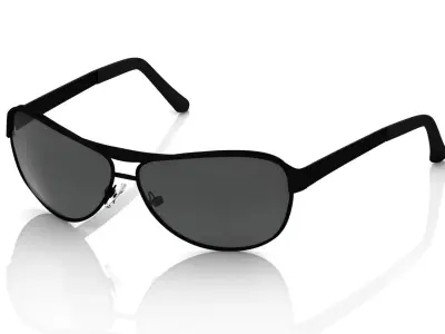 Eyeglasses for Men and Women 3D print model