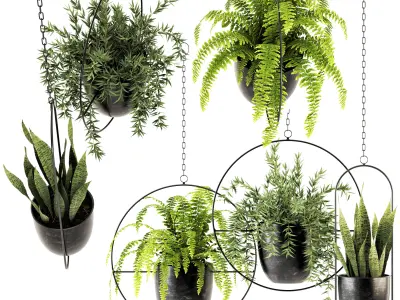 Collection of plants-002 3D model