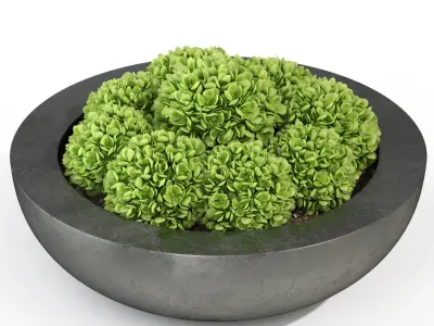 Plants collection 281 Fleurami ROYAL  3D model