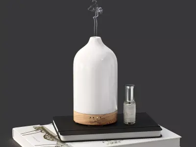 Decor Diffuser with books Set 17 3D model