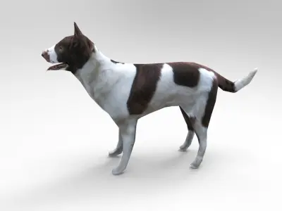 3D Dog animated low poly 3d  Low-poly 3D model