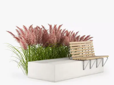 Pink Pampas Grass Seeds 3D model