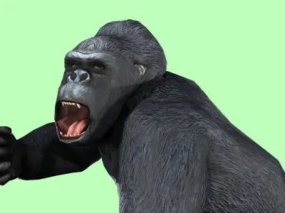 Gorilla Rigged Animated 9 Low-poly 3D model