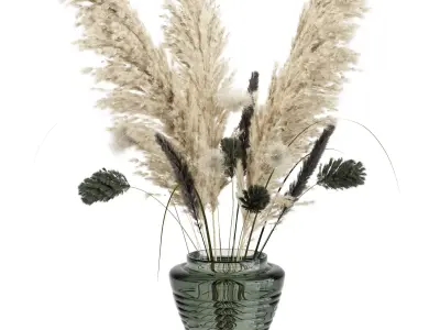  Bouquet04 dry pampas and grass 3D model