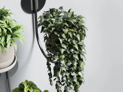 wall plant - collection Indoor plant 180 concrete wall vase 3D model