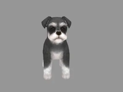 Cartoon pet puppy - Schnauzer - baby dog Low-poly 3D model