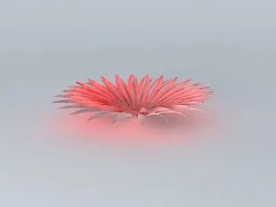 pettle play Free 3D model