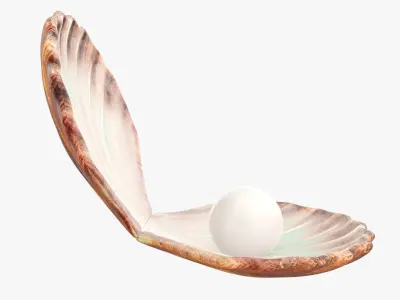  Seashell with pearl inside 3D model