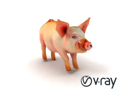 Pastoral Sheep Fluffy Grazing Stance model pack Low-poly 3D model